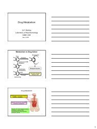 Pathways of drug metabolism_3slides