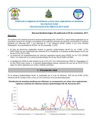 Boletin Influenza 46 2011.pdf