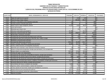 Ejercicio PAAAS 2010 del 1Â° de Enero al 31 de Diciembre de 2010.