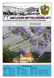 AMTLICHES MITTEILUNGSBLATT - Stadt Schirgiswalde