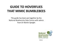 Hoverflies that mimic bumblebees - Pollinators - National ...