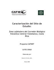 Estructura del documento - Catie
