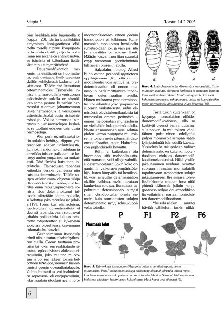 PDF (4.8 Mt) - Seepia