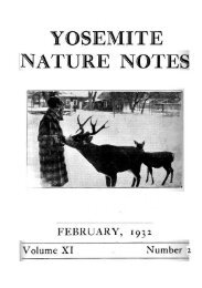 [PDF] Old Horny, Yosemite's Unicorn Buck - Yosemite Online