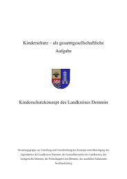 Kinderschutzkonzept des Landkreises Demmin - Bündnis ...