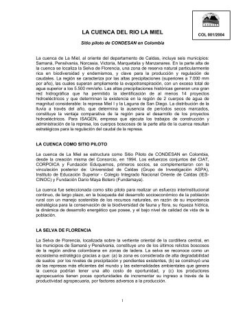 LA CUENCA DEL RIO LA MIEL - Condesan