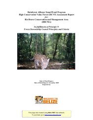 HCVF vNov09_Final.pdf