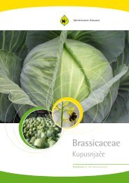 Brassicaceae - Nickerson-Zwaan