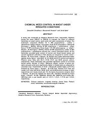 chemical weed control in wheat under irrigated conditions