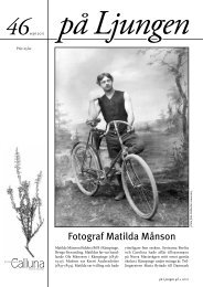 Fotograf Matilda MÃ¥nson - KulturfÃ¶reningen Calluna