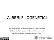 ALBERI FILOGENETICI