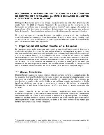 documento de analisis del sector forestal en el ... - UNDPCC.org