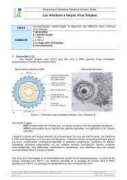 Les infections Ã  HerpÃ¨s Virus Simplex - MedQual