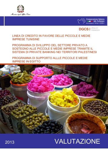 Rapporto finale linea credito Pmi - Cooperazione Italiana allo Sviluppo