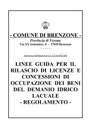 Linee guida per il rilascio di licenze e concessioni di occupazione ...