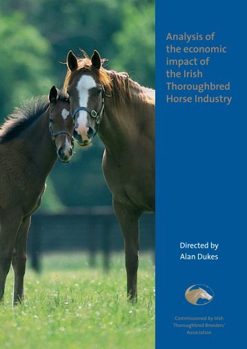 2009 Dukes Report - Horse Racing Ireland