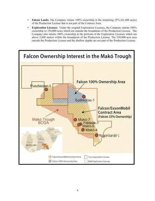 Management Discussion & Analysis - Falcon Oil & Gas, Ltd.