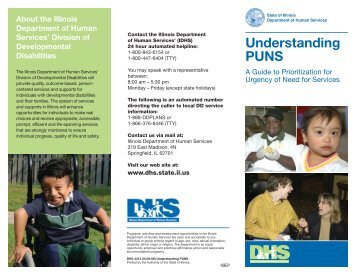 Understanding PUNS (pdf) - Illinois Department of Human Services