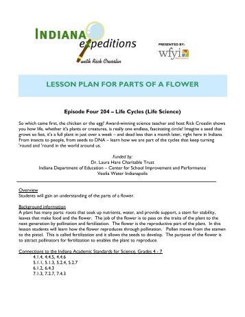 LESSON PLAN FOR PARTS OF A FLOWER - WFYI