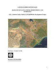 LOWER ZAMBEZI RIVER BASIN BASELINE DATA ON LANDUSE ...