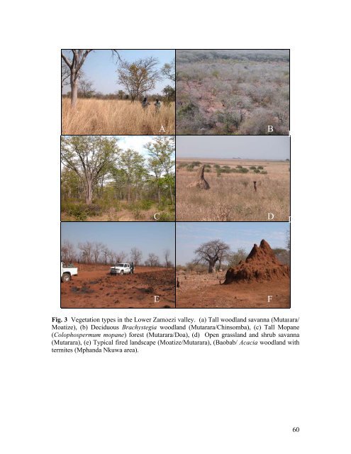 LOWER ZAMBEZI RIVER BASIN BASELINE DATA ON LANDUSE ...