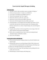 Yeast Lysis by Liquid Nitrogen Grinding