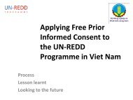 Presentation of Pilot FPIC Process in Viet Nam - REDD - VietNam