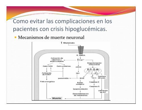 Crisis Hipoglucemicas - Reeme.arizona.edu