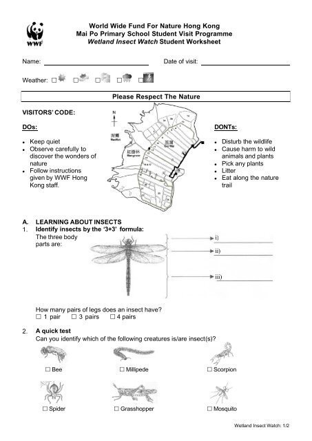 wetland-insect-watch-student-worksheet-wwf