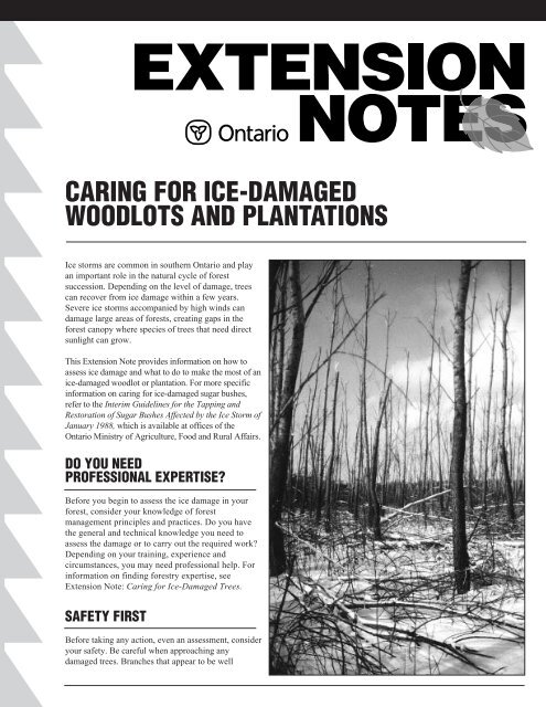 caring for ice-damaged woodlots and plantations - LandOwner ...