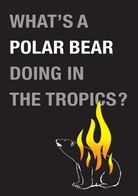 What's a Polar Bear Doing in the Tropics? - Animal Concerns ...