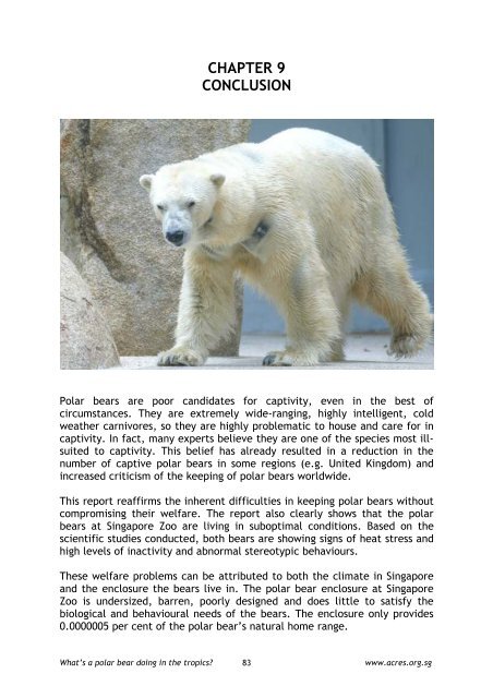 What's a Polar Bear Doing in the Tropics? - Animal Concerns ...