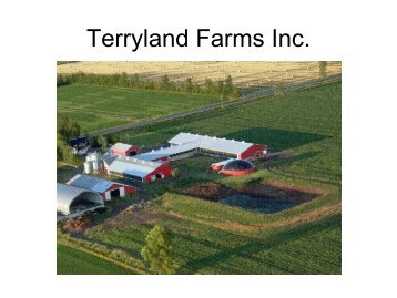 Terryland Farms Inc.