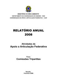 RELATÓRIO ANUAL 2008 - Ministério do Meio Ambiente