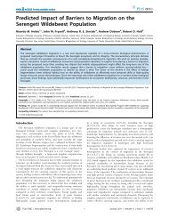 Predicted impact of barriers to migration on the Serengeti wildebeest ...