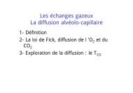 Les Ã©changes gazeux La diffusion alvÃ©olo-capillaire