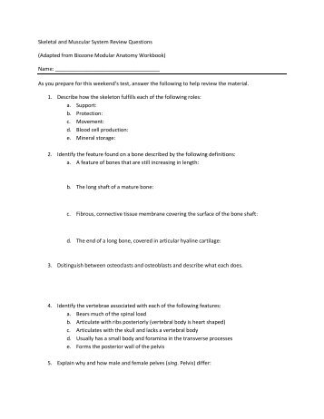 Skeletal and Muscular System Review Questions (Adapted from ...