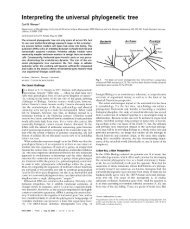 Interpreting the universal phylogenetic tree