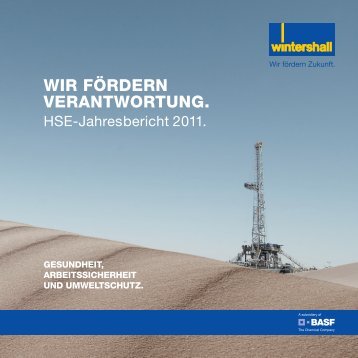 HSE Jahresbericht 2011