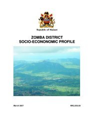 chiradzulu socio-economic profile 2006-2009 - Scotland Malawi ...