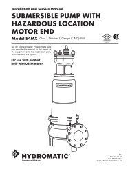 submersible pump with hazardous location motor end - Pump Express