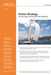 Polish Strategy - PBG SA