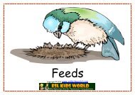 Animal Family Action Flashcards - ESL Kids World