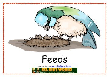 Animal Family Action Flashcards - ESL Kids World