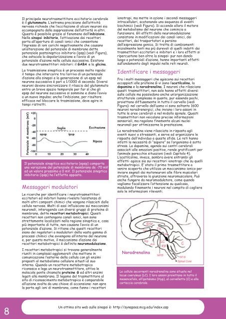 APPUNTI di NEUROSCIENZE - Studio Psicologia Mantova