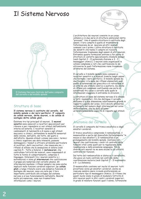 APPUNTI di NEUROSCIENZE - Studio Psicologia Mantova