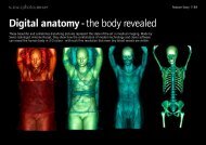 Digital anatomy - the body revealed - Science Photo Library