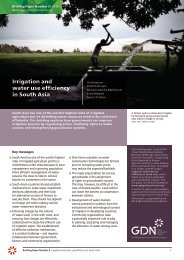 Irrigation and water use efficiency in South Asia - Global ...