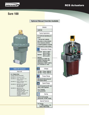 Sure 100 - Kube Engineering