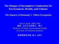 The Danger of Incomplete Combustion for Environment, Health, and ...